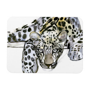 Imán Leopardo árabe 2008 6