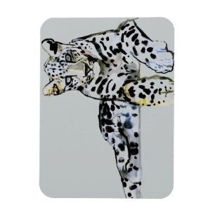 Imán Leopardo árabe 2008 7