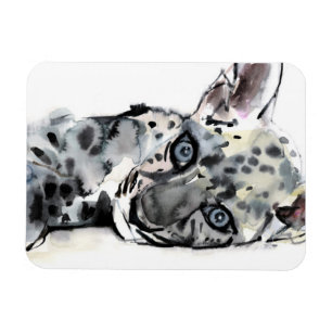 Imán Leopardo árabe Cub 2008