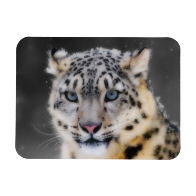 Imán Leopardo de la nieve (Horizontal)