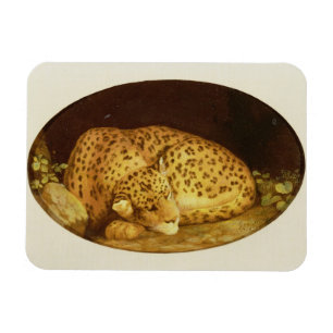 Imán Leopardo el dormir de George Stubbs el  , 1777