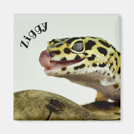 Imán Leopardo Gecko Lizard personalizado