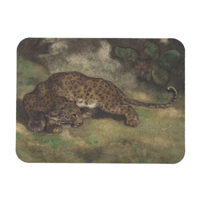 Imán Leopardo y serpiente (Horizontal)