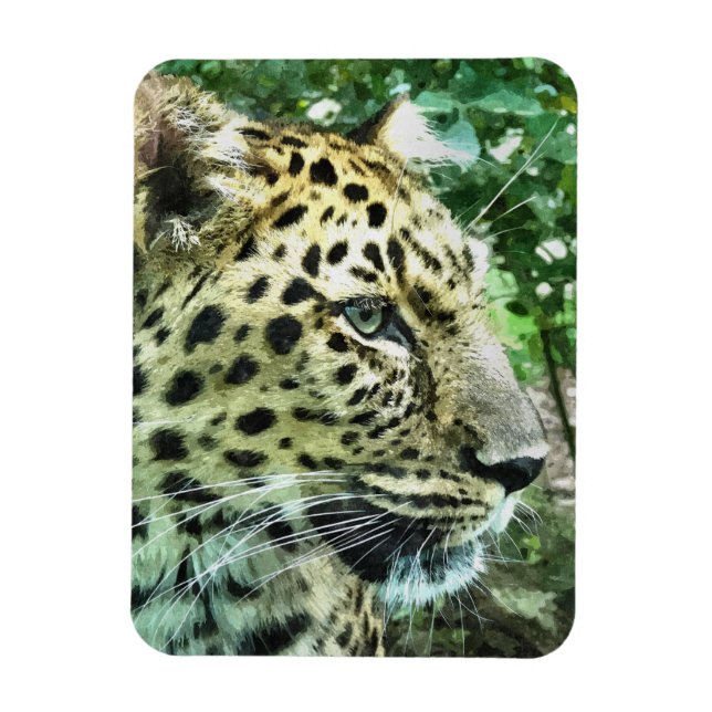 IMÁN LEOPARDS (Vertical)