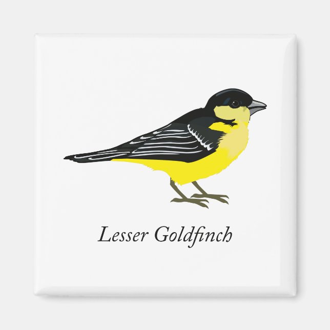 Imán Lesser goldfinch (Frente)