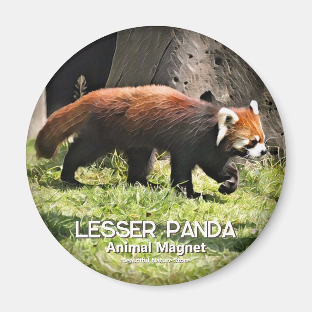 Imán Lesser panda (Frente)