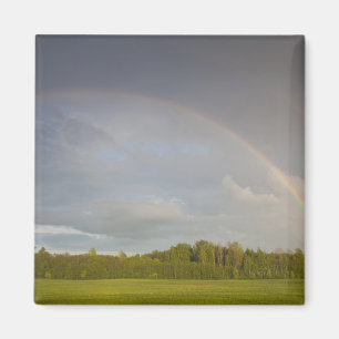 Imán Letonia, Letonia nororiental, región de Vidzeme, 5
