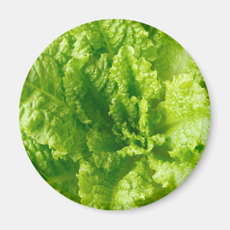 Imán Lettuce