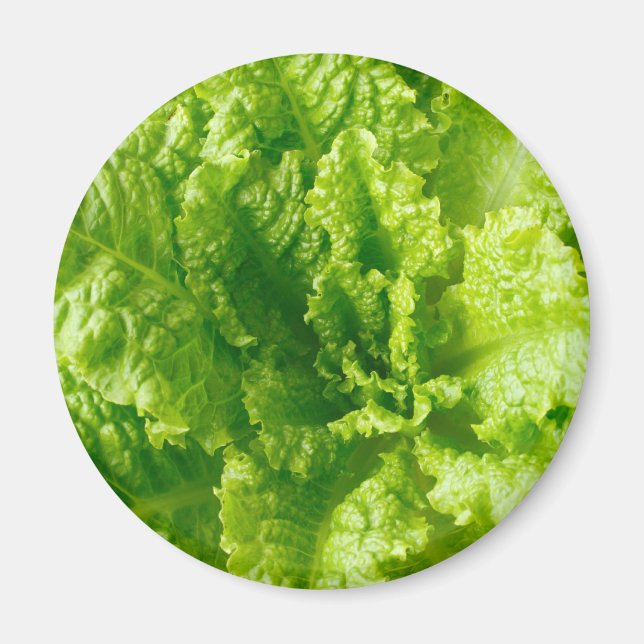 Imán Lettuce (Frente)