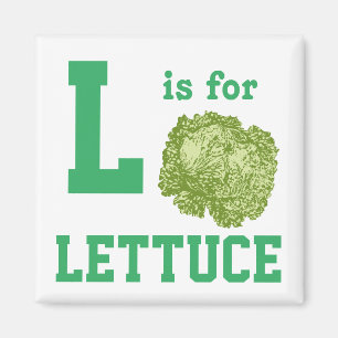 Imán Lettuce
