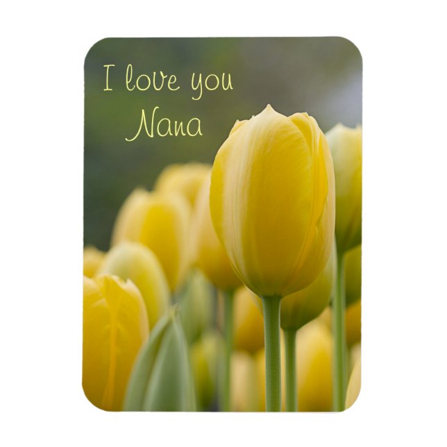 Imán Levantar Tulip (Vertical)