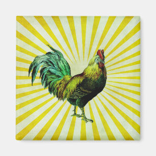 Imán Levantarse y brillar