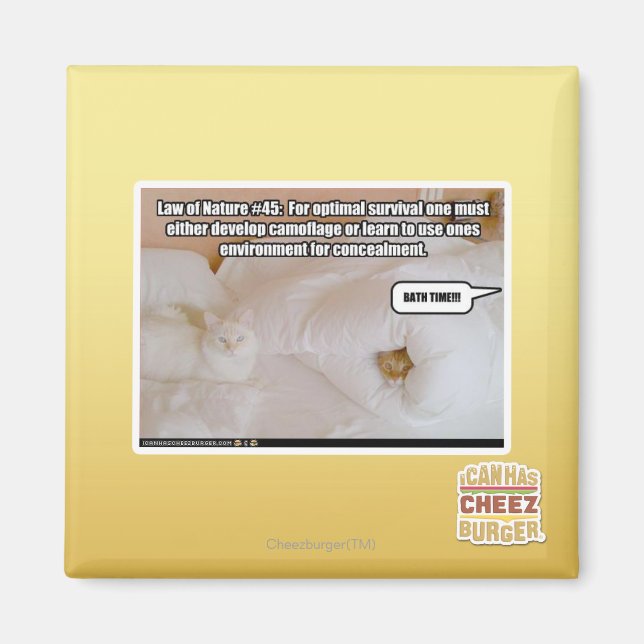 Imán Ley de la Naturaleza Nº 45 (Frente)