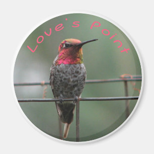 Imán Leyenda de Hummingbird