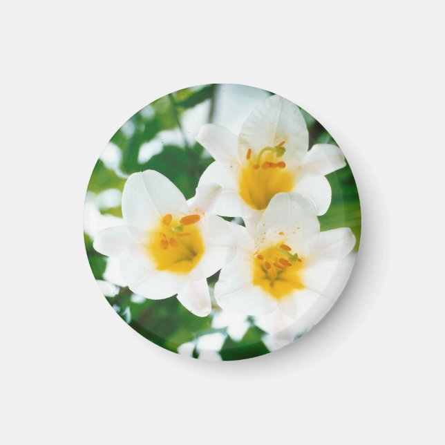 Imán Leyendas blancas - Símbolo de amor (Frente)