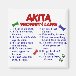 Imán Leyes 2 de la propiedad de AKITA