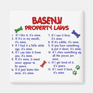 Imán Leyes 2 de la propiedad de BASENJI