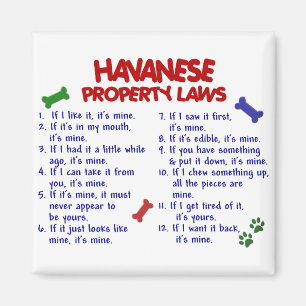 Imán Leyes 2 de la propiedad de HAVANESE