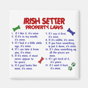 Imán Leyes 2 de la propiedad de IRISH SETTER