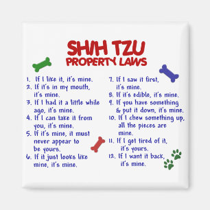 Imán Leyes 2 de la propiedad de SHIH TZU