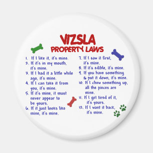 Imán Leyes 2 de la propiedad de VIZSLA