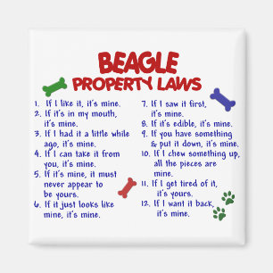 Imán Leyes 2 de la propiedad del BEAGLE