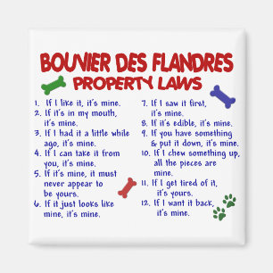 Imán Leyes 2 de la propiedad del DES FLANDRES de