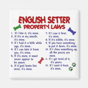 Imán Leyes 2 de la propiedad del ORGANISMO INGLÉS