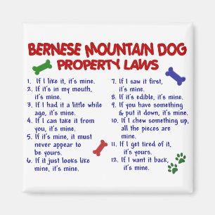 Imán Leyes 2 de la propiedad del PERRO de MONTAÑA de