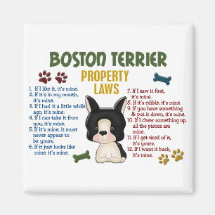 Imán Leyes 4 de la propiedad de Boston Terrier