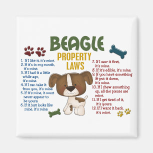 Imán Leyes 4 de la propiedad del beagle