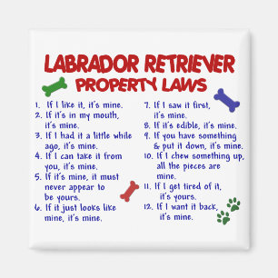 Imán Leyes de la propiedad del LABRADOR RETRIEVER
