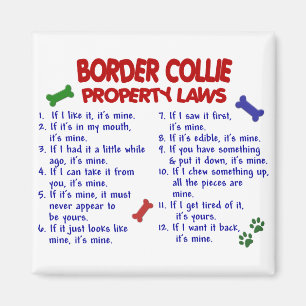 Imán Leyes de propiedad COLLIE BORDER 2