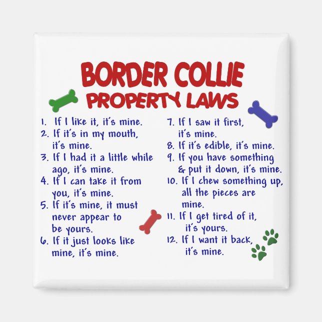 Imán Leyes de propiedad COLLIE BORDER 2 (Frente)