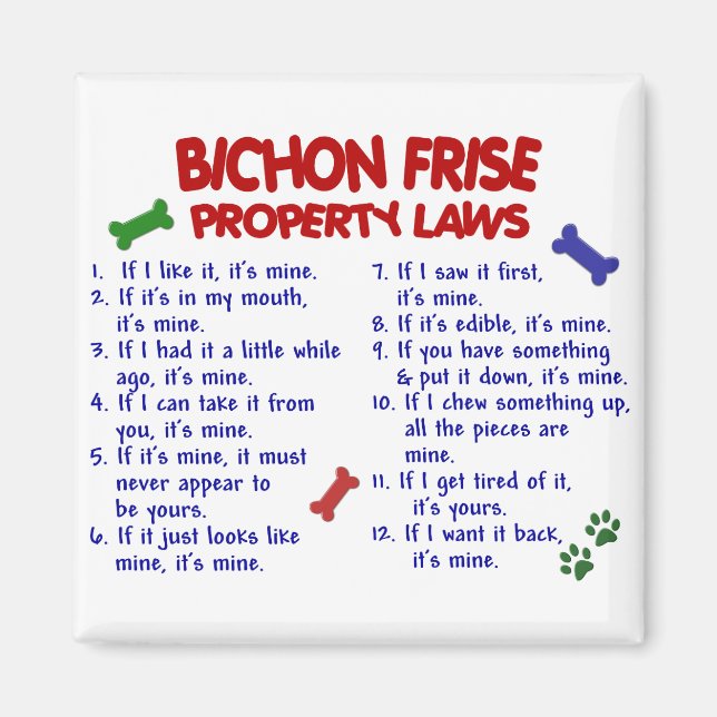 Imán Leyes de propiedad de BICHON FRISE 2 (Frente)