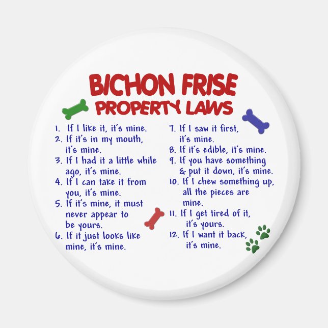 Imán Leyes de propiedad de BICHON FRISE 2 (Frente)
