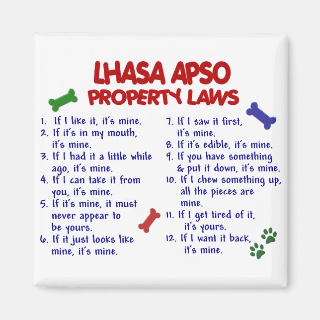 Imán Leyes de propiedad de la APSO de LHASA 2 (Frente)