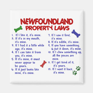 Imán Leyes de propiedad de NEWFOUNDLAND 2