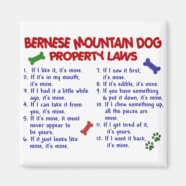 Imán Leyes de propiedad de perros de la MONTAÑA BERNÉS  (Frente)