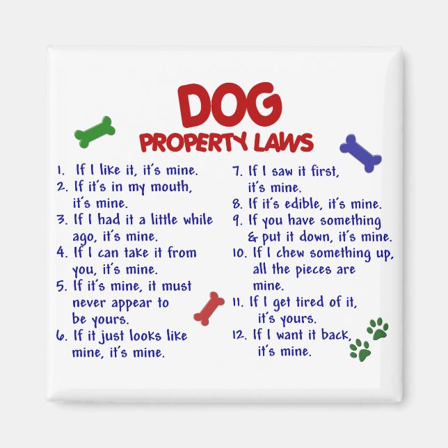 Imán Leyes de propiedad DOG 2 (Frente)