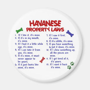 Imán leyes de propiedad HAVANESE 2