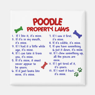 Imán Leyes de propiedad POODLE 2