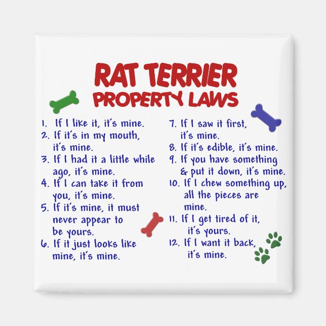 Imán Leyes de propiedad RAT TERRIER 2 (Frente)