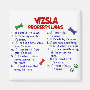 Imán Leyes de propiedad VIZSLA 2