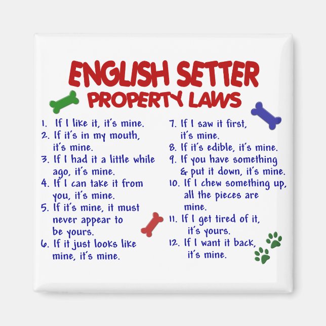 Imán Leyes sobre bienes raíces en INGLÉS 2 (Frente)