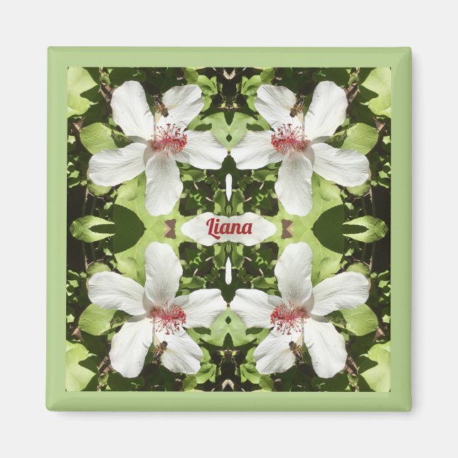 Imán LIANA ~ EASTER ~ Flores de Hibiscus blancas ~ (Frente)