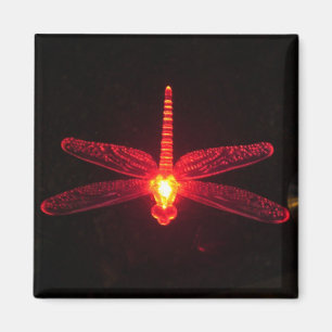 Imán Libélula que brilla intensamente