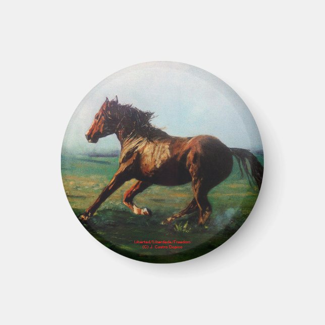 Imán Libertad/Libertad/Libertad (Frente)