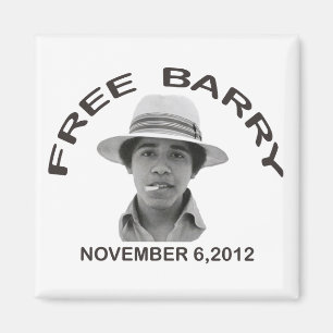 Imán LIBRE de BARRY