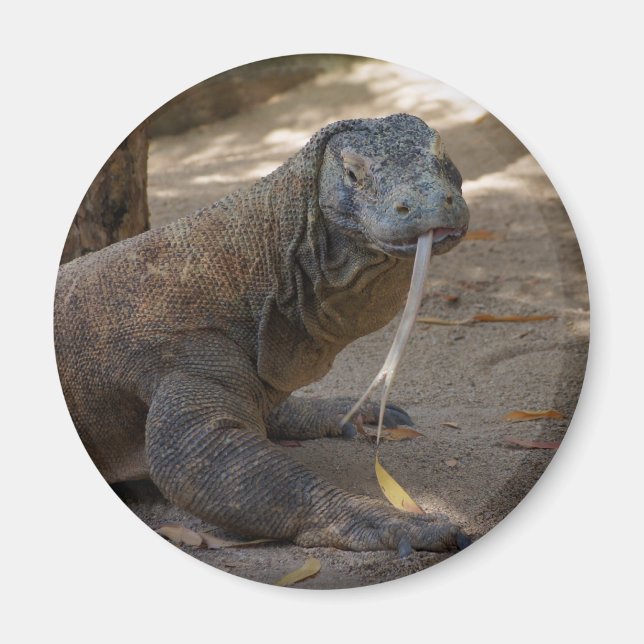 Imán Licencia de Komodo Dragon (Frente)